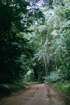 Track