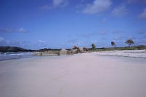 Felsen am Strand