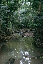 Creek