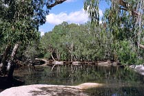 Saltwater Creek