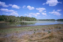 Low Lake