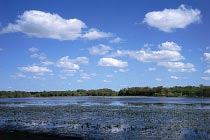 Low Lake