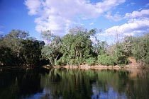 Normanby River