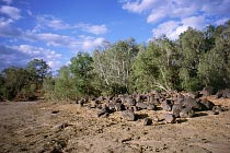 Kalpowar Crossing