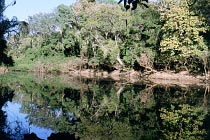 Kennedy River