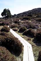 Board Walk
