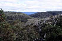 Am Lake Adelaide