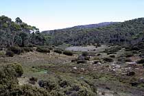 Junction Lake Track