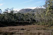 Mayfield Flats