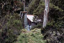 Junction Lake Hut