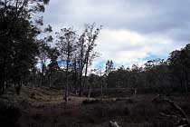 Am Junction Lake