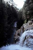 Harnett Falls