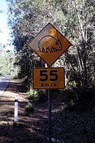Wombat-Verkehrschild