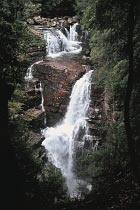 D'Alton Falls