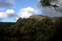 Cathedral Mountain