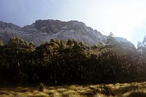 Mount Massif mit Schnee