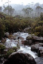 Wurragurra Creek