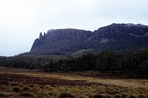 Mount Oakleigh