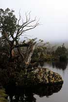 Lake Windermere