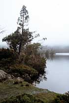 Am Ufer von Lake Windermere