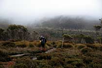 Overland Track