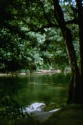 Mossman River
