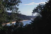 Bingil Bay Beach