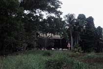 YHA Treehouse