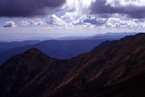 Blick nach Victoria