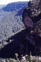 Jamison Valley