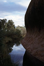 Wasser am Fu�e des Uluru