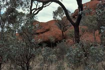 Am Uluru