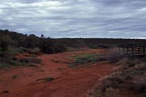 Am Angus Downs Homestead