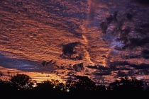 Morgenr�te