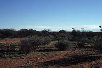 Bushland