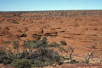 Sandsteinkuppel der Lost City s�dlich des Canyons