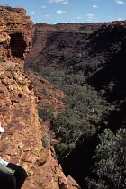 Kings Canyon von oben