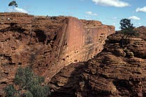 Kings Canyon