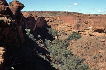 Blick in den Kings Canyon hinein