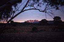 Mt. Sonder im Morgenlicht