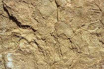 Ochre Pits