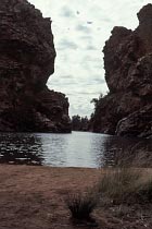 Ellery Creek Big Hole