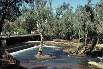 Br�cke �ber Katherine River