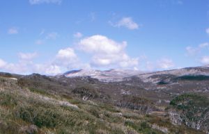 Blick zum Mt. Kosciuszko