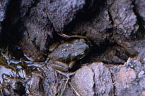 Agar Krte