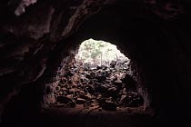 Undara Lava Tubes