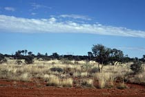 Am Stuart Highway