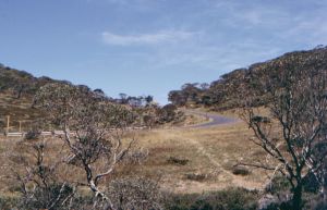 Dead Horse Gap