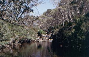 Der Crackenback River