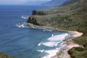Royal National Park